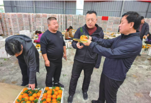 首页| G22恒峰集团中国官方网站