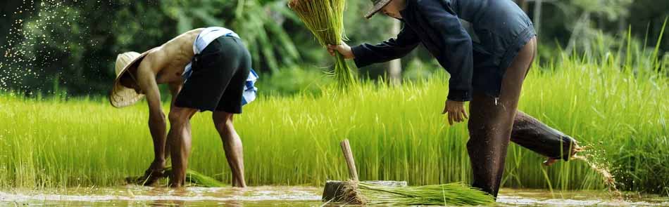 Ҽ����(�й���)�ٷ���վ