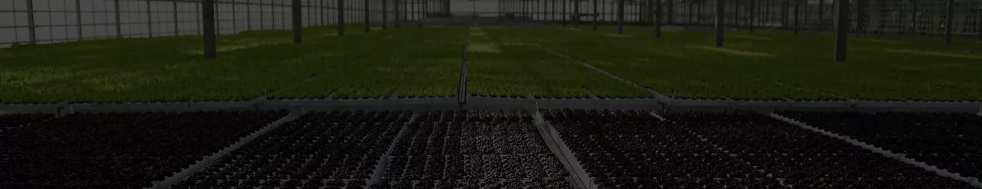 Ҽ����(�й���)�ٷ���վ